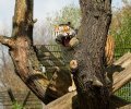 zoo duisburg 2023 zoo duisburg 2023