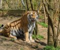 zoo duisburg 2023 zoo duisburg 2023