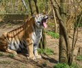 zoo duisburg 2023 zoo duisburg 2023