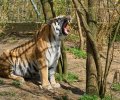 zoo duisburg 2023 zoo duisburg 2023