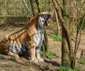 zoo duisburg 2023 zoo duisburg 2023