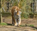 zoo duisburg 2023 zoo duisburg 2023