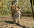 zoo duisburg 2023 zoo duisburg 2023