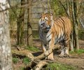 zoo duisburg 2023 zoo duisburg 2023