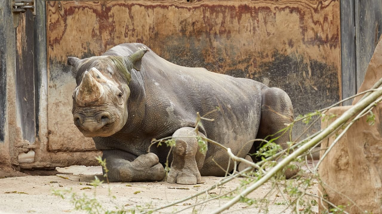 zoo krefeld 2021