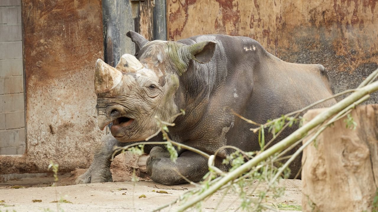 zoo krefeld 2021