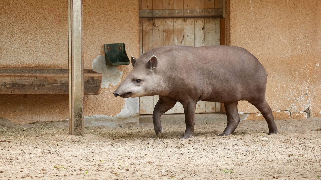 zoo krefeld 2021