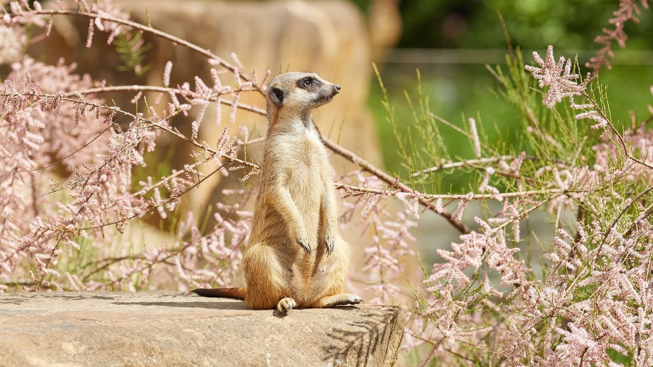 zoo krefeld 2021