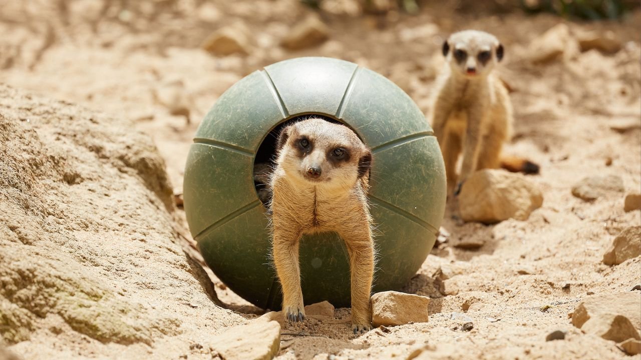 zoo krefeld 2021