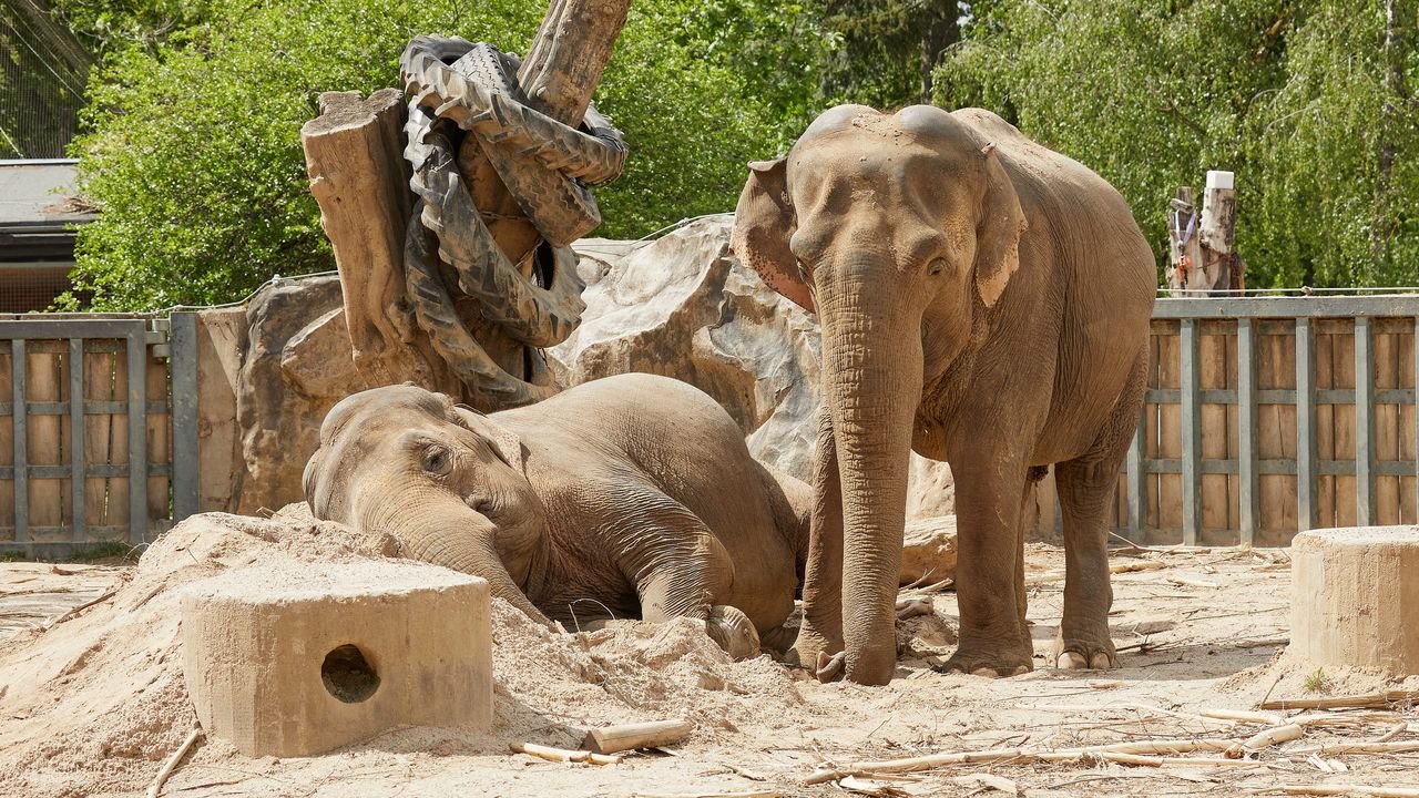 zoo krefeld 2021