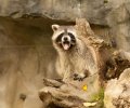 zoom-erlebniswelt-gelsenkirchen-2012-010