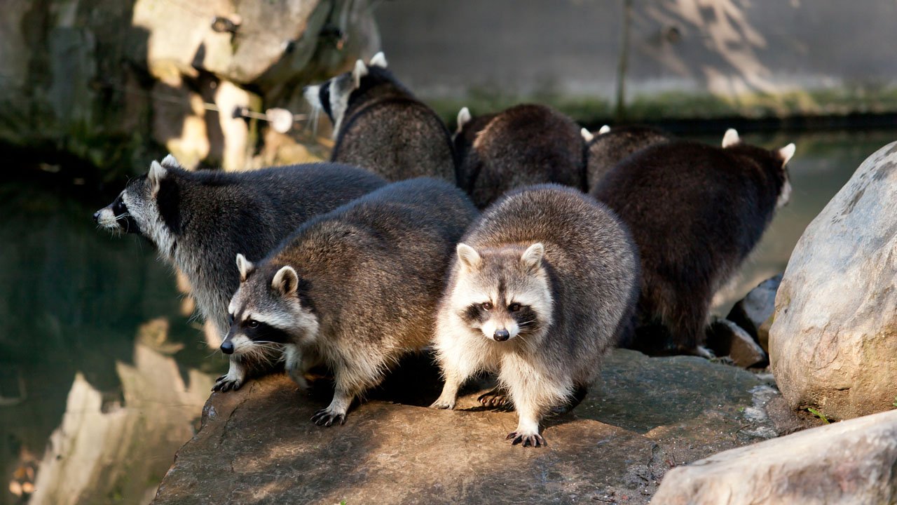 zoom-erlebniswelt-gelsenkirchen-2013-003