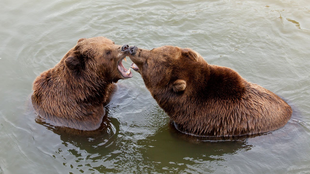 zoom-erlebniswelt-gelsenkirchen-2013-006