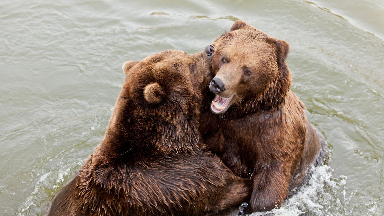 zoom-erlebniswelt-gelsenkirchen-2013-008