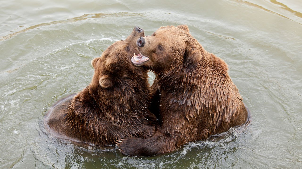 zoom-erlebniswelt-gelsenkirchen-2013-009