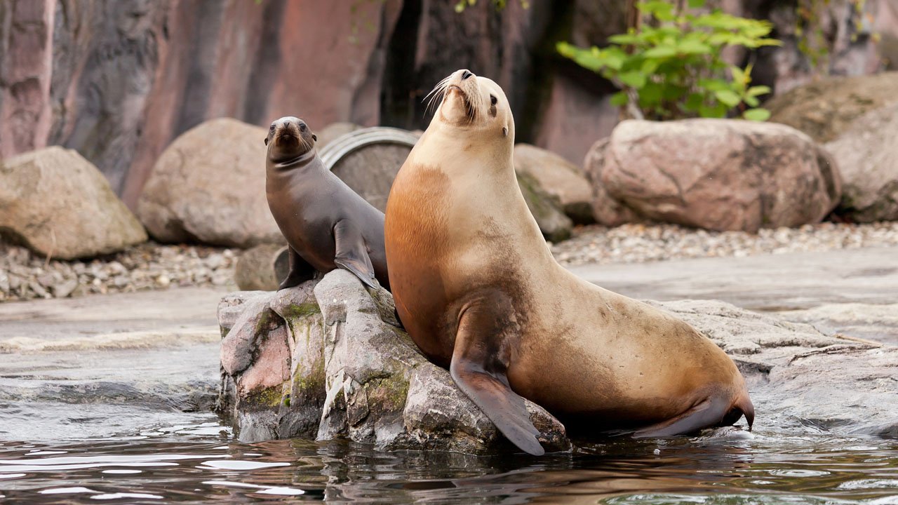 zoom-erlebniswelt-gelsenkirchen-2013-012