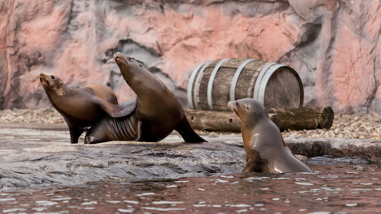 zoom-erlebniswelt-gelsenkirchen-2013-014