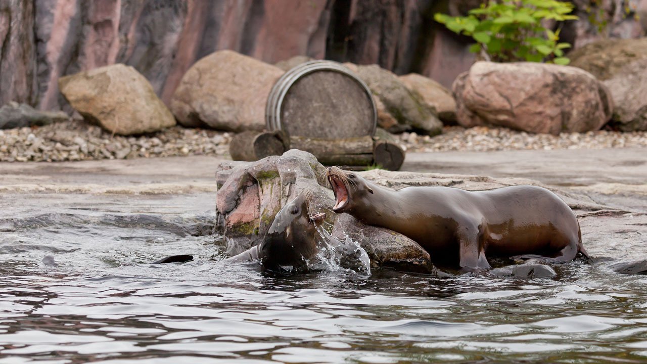 zoom-erlebniswelt-gelsenkirchen-2013-015
