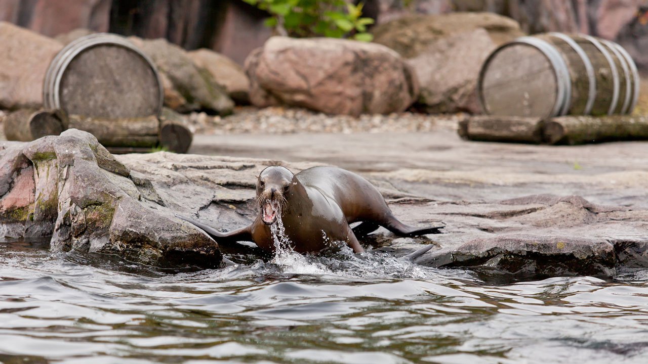 zoom-erlebniswelt-gelsenkirchen-2013-019