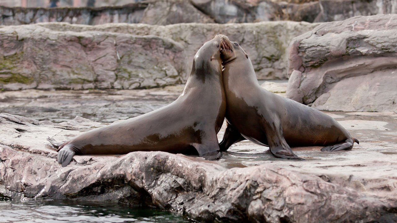 zoom-erlebniswelt-gelsenkirchen-2013-020