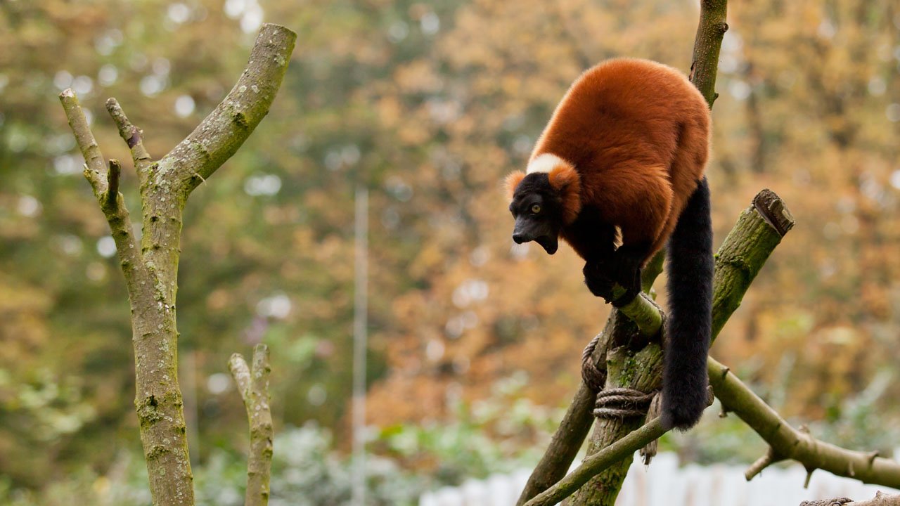 zoom-erlebniswelt-gelsenkirchen-2013-023