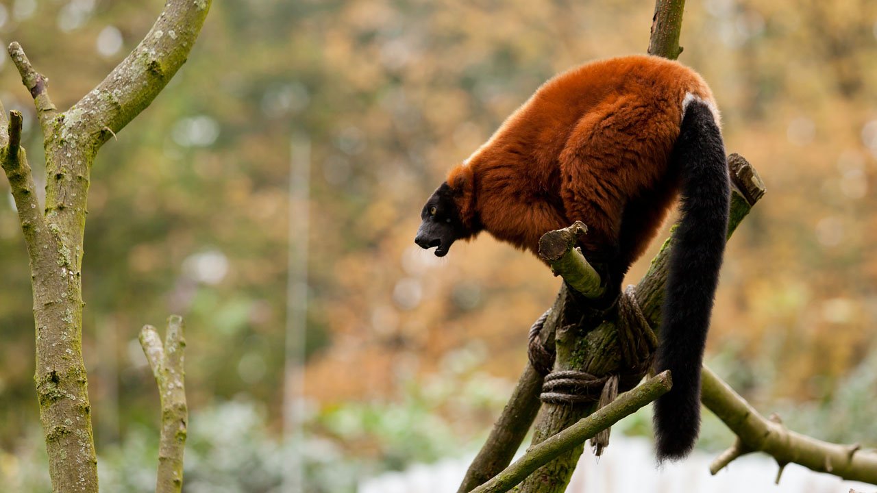 zoom-erlebniswelt-gelsenkirchen-2013-025